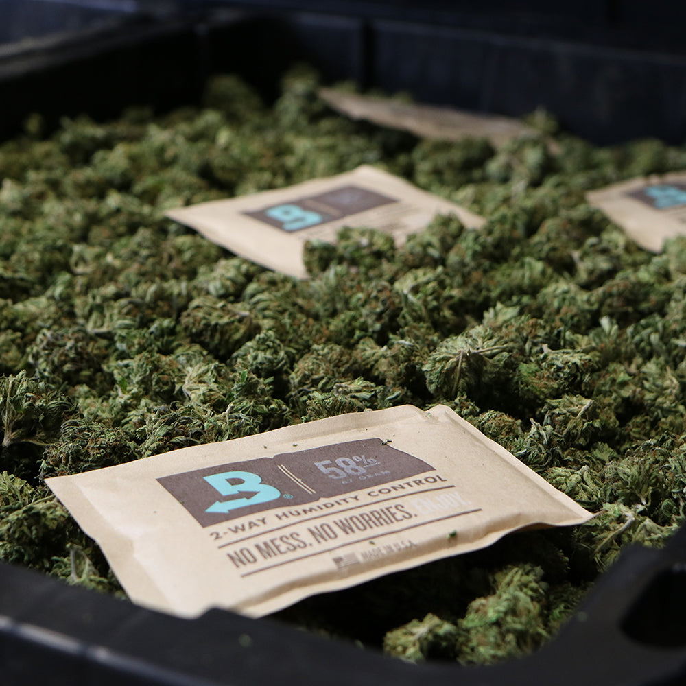 Boveda Size 67 for Cannabis, 58% RH Single (1 Ct)
