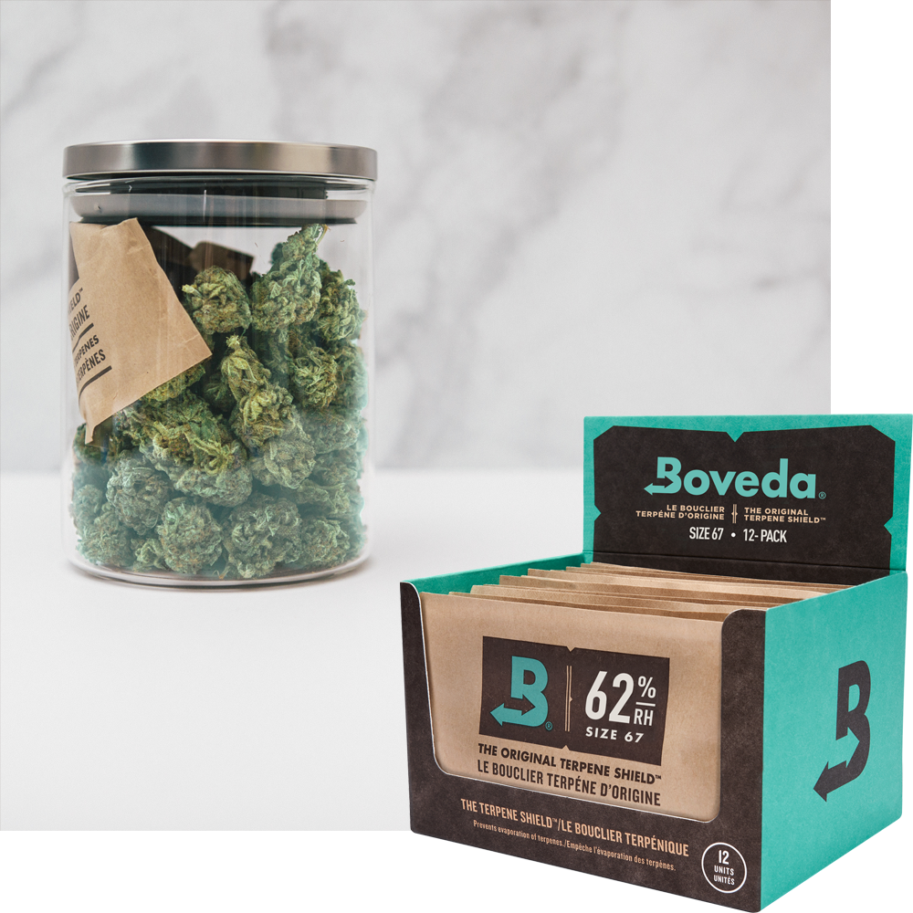 Boveda 62% Humidity Control 12 Ct | For 1+ Pounds of Weed Boveda 62% Humidity Control 12 Ct | For 1+ Pounds of Weed