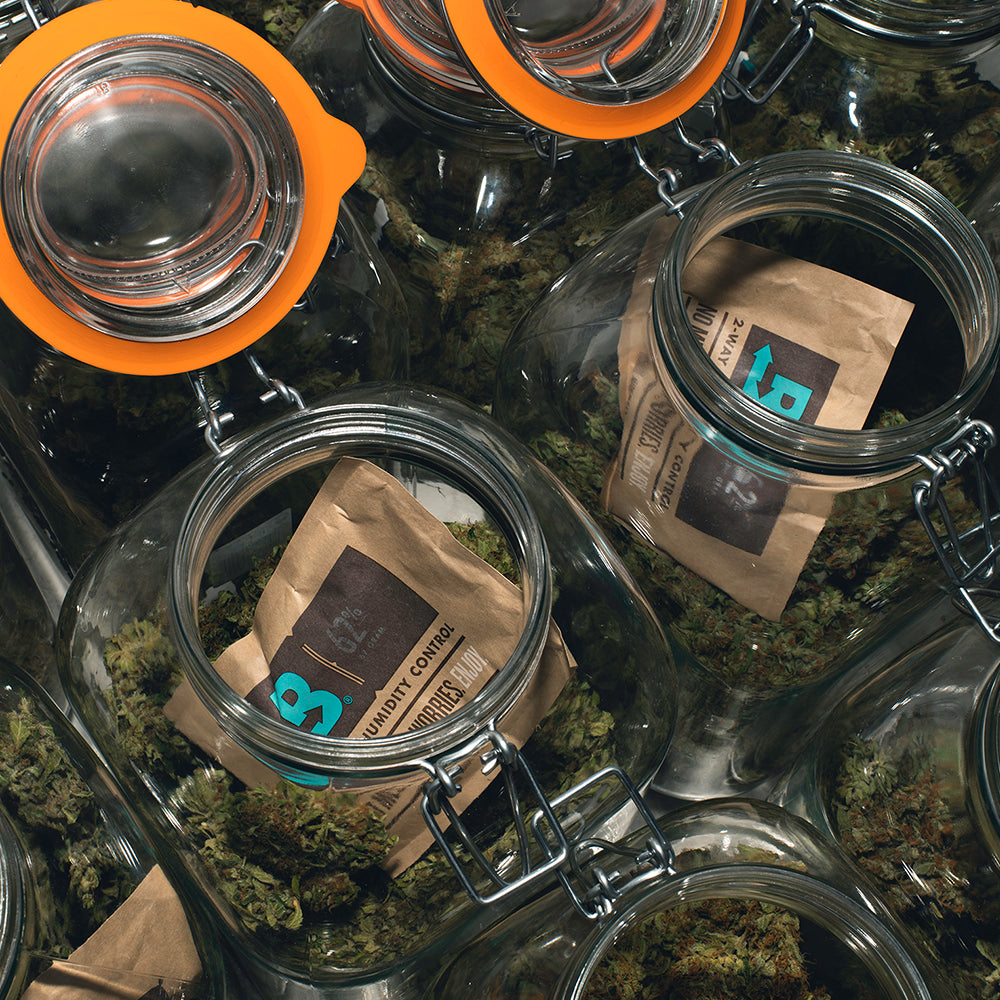 Boveda Size 67 for Cannabis, 62% RH Single (1 Ct)
