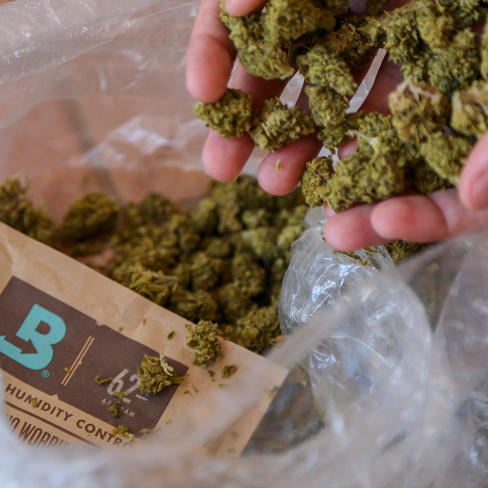 Boveda Size 67 for Cannabis, 62% RH Single (1 Ct)